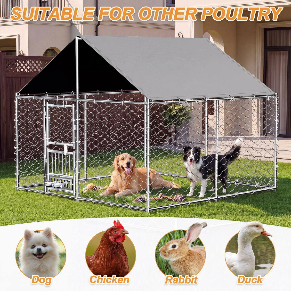 Heavy Duty Outdoor Dog Kennel Featuring Dual Entry Doors