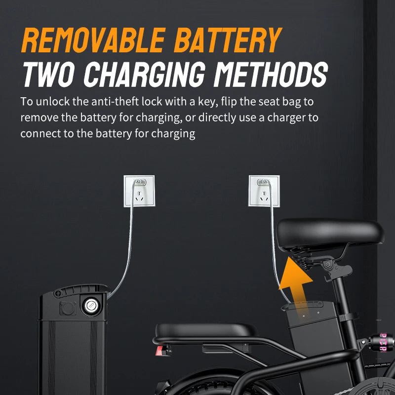 Folding Electric Bike With 400W Motor And Removable Battery