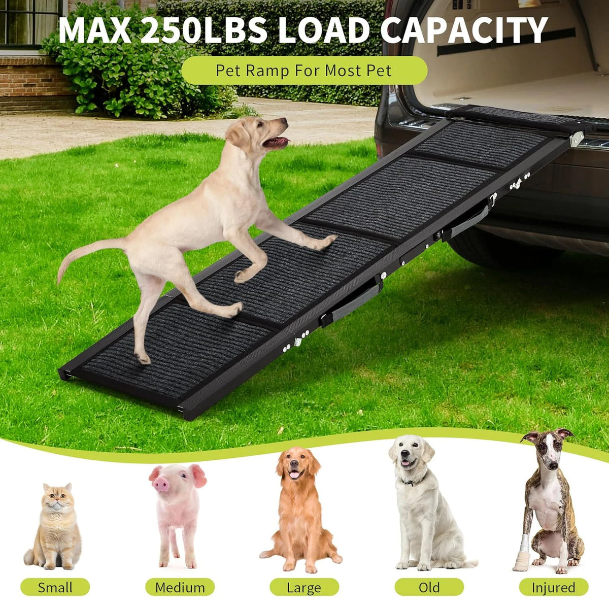 HiMISS Folding Car Dog Ramp With Non Slip Portable Surface