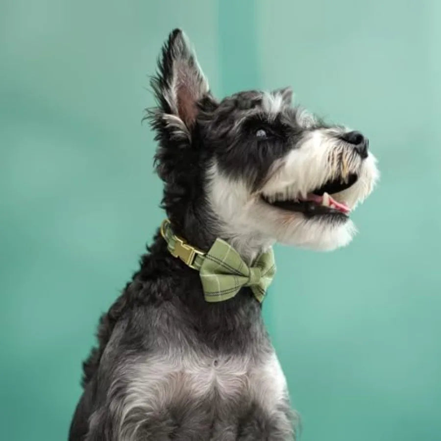 Adjustable Polyester Dog Harness Collar And Leash Set With Bowtie