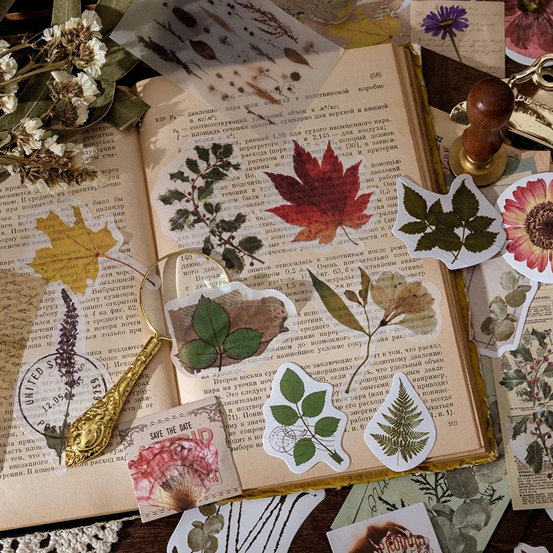 Yoofun Vintage Mushroom Plant And Butterfly Stickers For Journals