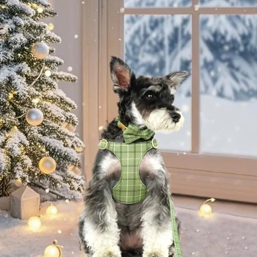 Adjustable Polyester Dog Harness Collar And Leash Set With Bowtie