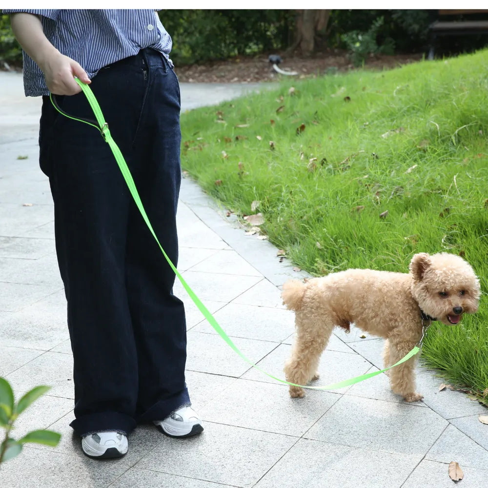 Reflective Double Sided Nylon Dog Leash With Padded Handle
