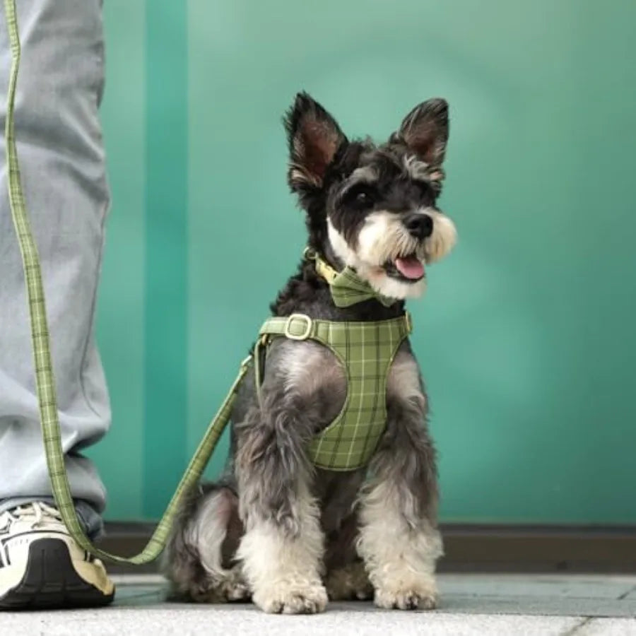 Adjustable Polyester Dog Harness Collar And Leash Set With Bowtie