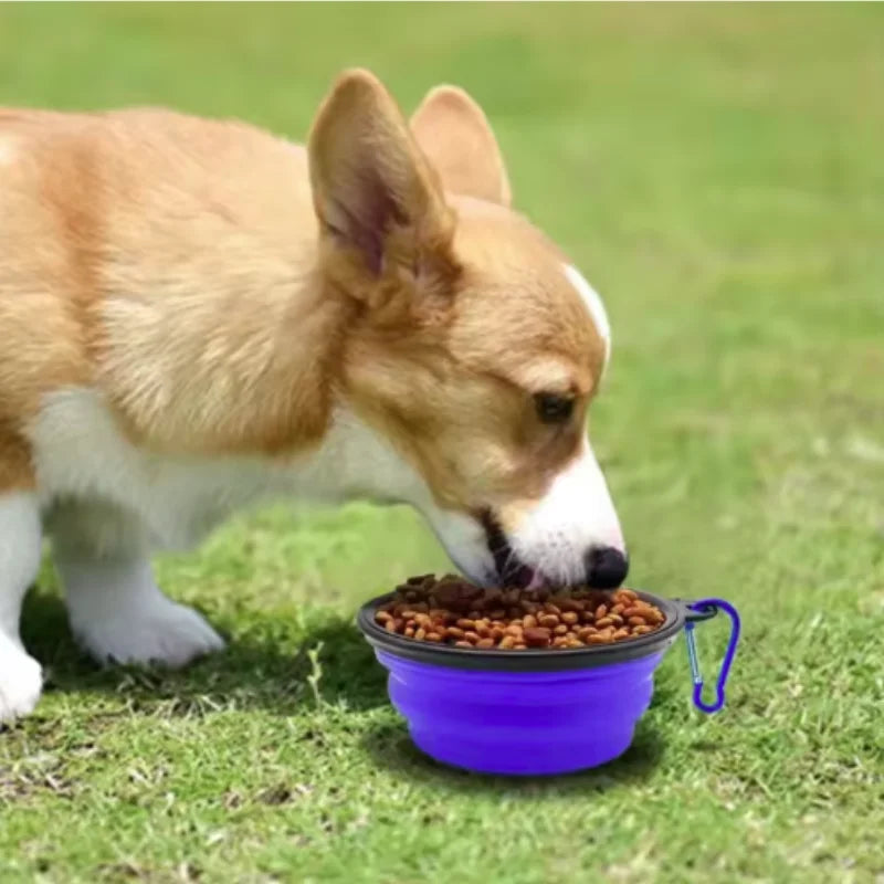 Portable Silicone Collapsible Travel Pet Food Bowl For Dogs And Cats
