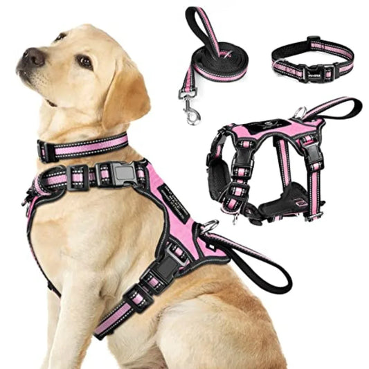 Reflective Nylon Dog Harness Collar And Leash Set No Pull Design