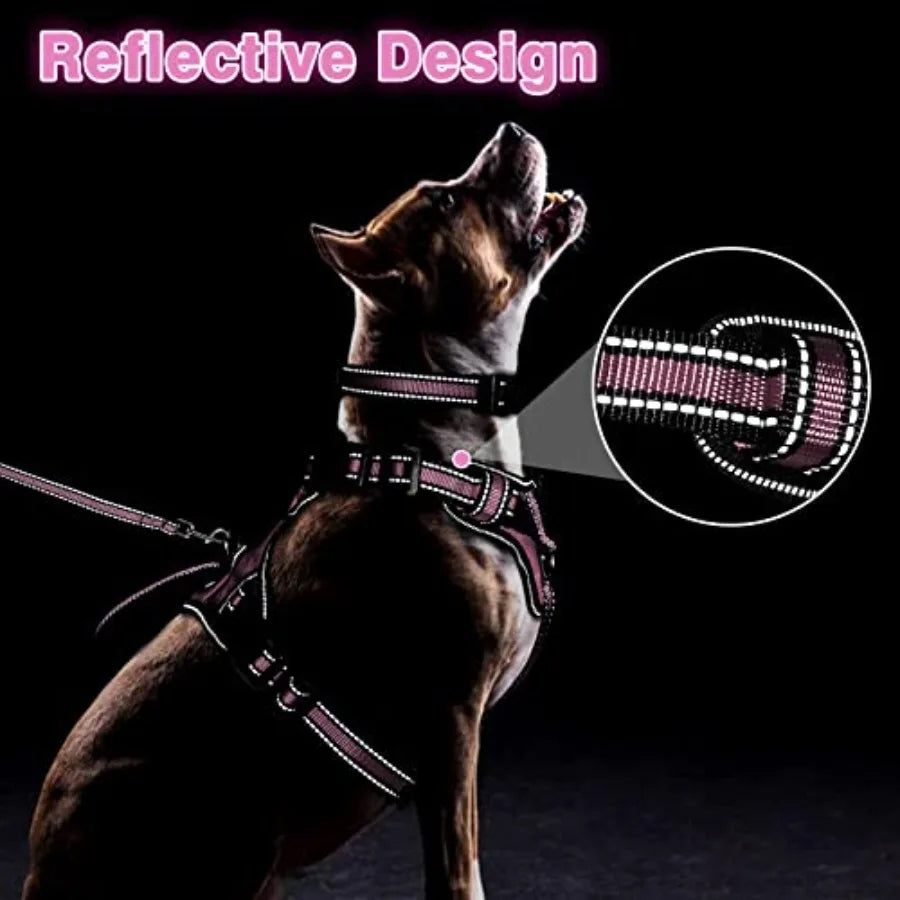Reflective Nylon Dog Harness Collar And Leash Set No Pull Design