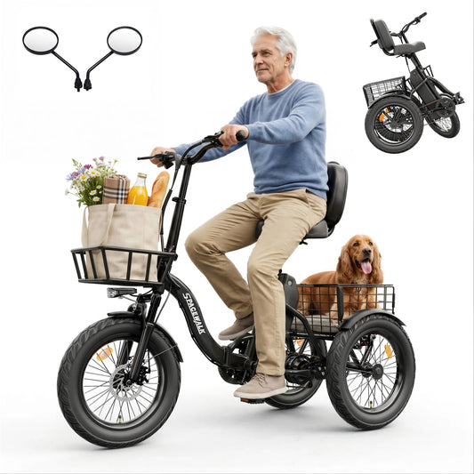 Spacewalk 1200W Electric Trike With 60 Mile Range