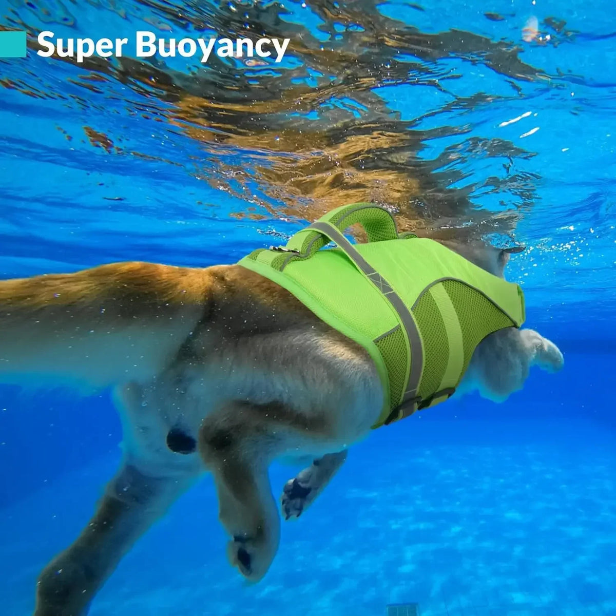 Bxx Durable Dog Life Jacket Featuring Ergonomic Handle For Swimming